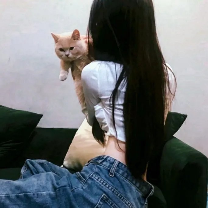 达太安的秘密打击在线观看